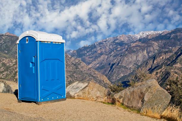 Best Porta potty rental for festivals  in Albany, WI