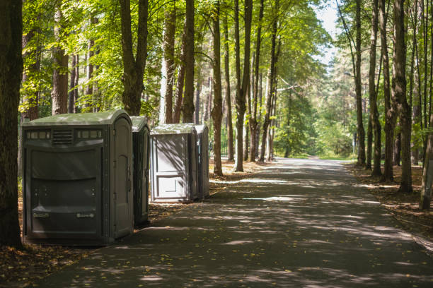 Best High-end porta potty rental  in Albany, WI